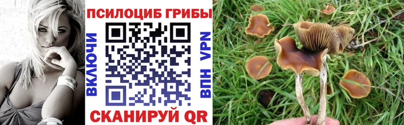 Псилоцибиновые грибы прущие грибы  гидра ССЫЛКА  Зарайск 