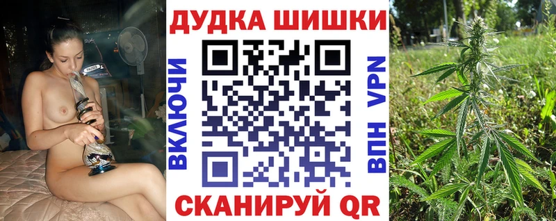 Бошки Шишки сатива  где найти наркотики  Зарайск 